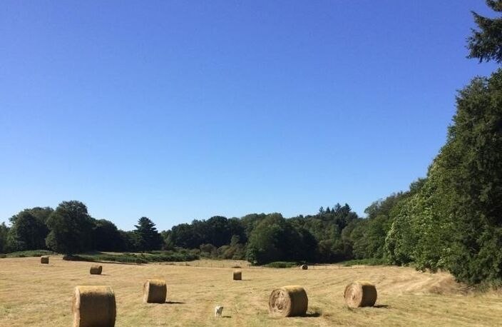 Corps de ferme — photo 4
