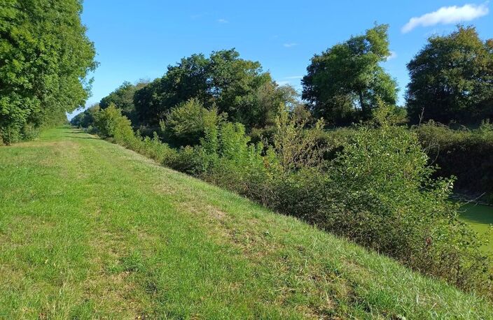 A vendre dans le Cher, ancienne maison d'éclusier et 3000m² — photo 4