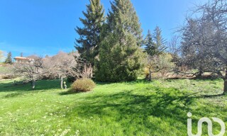 Photo N° 4