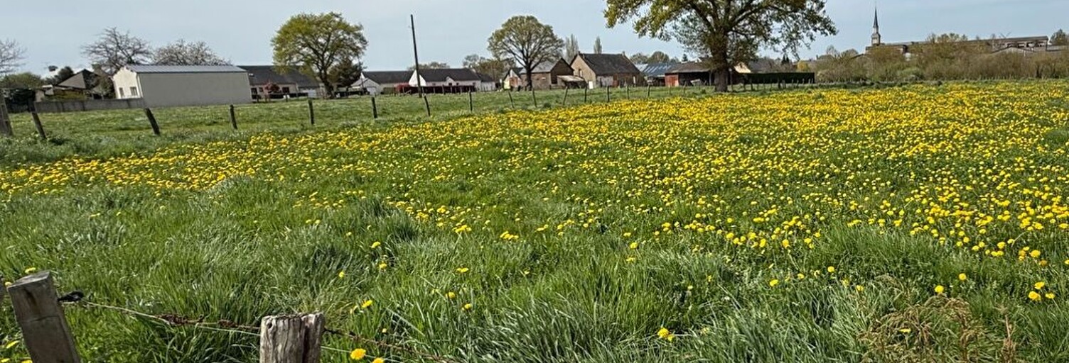 Terrain  3265 m² à vendre à Issé (44520)