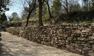 Photo N° 3