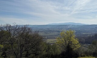 Photo N° 13