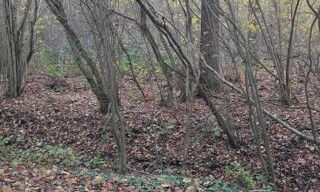 Photo N° 4