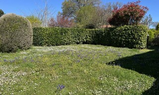 Photo N° 3