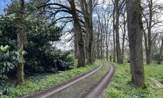 Photo N° 5