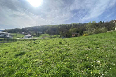 Terrain  208000 €