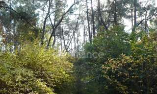 Terrain  14360 m² à vendre à Nivillac (56130)