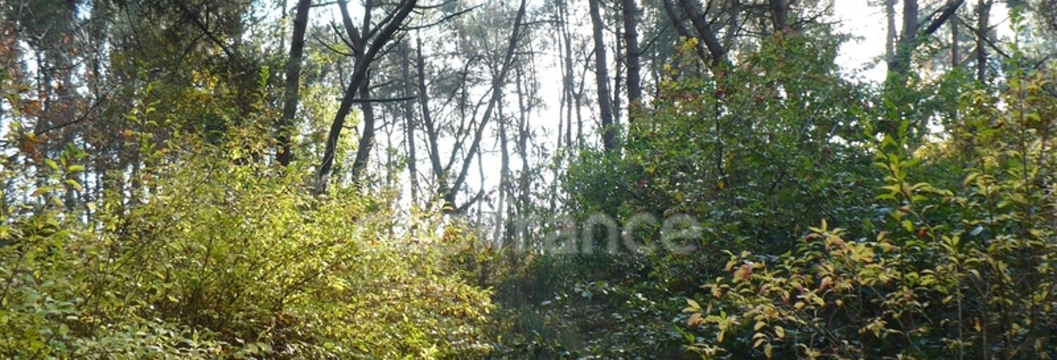 Terrain  14360 m² à vendre à Nivillac (56130)