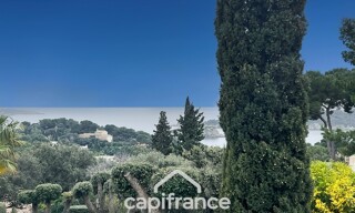 Photo N° 6
