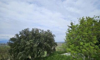 Photo N° 4