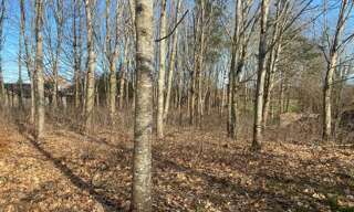 Terrain  2590 m² à vendre à Bonnut (64300)