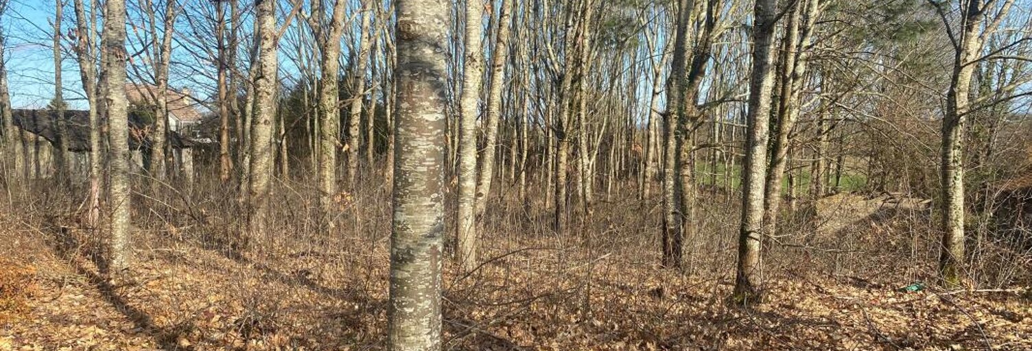 Terrain  2590 m² à vendre à Bonnut (64300)