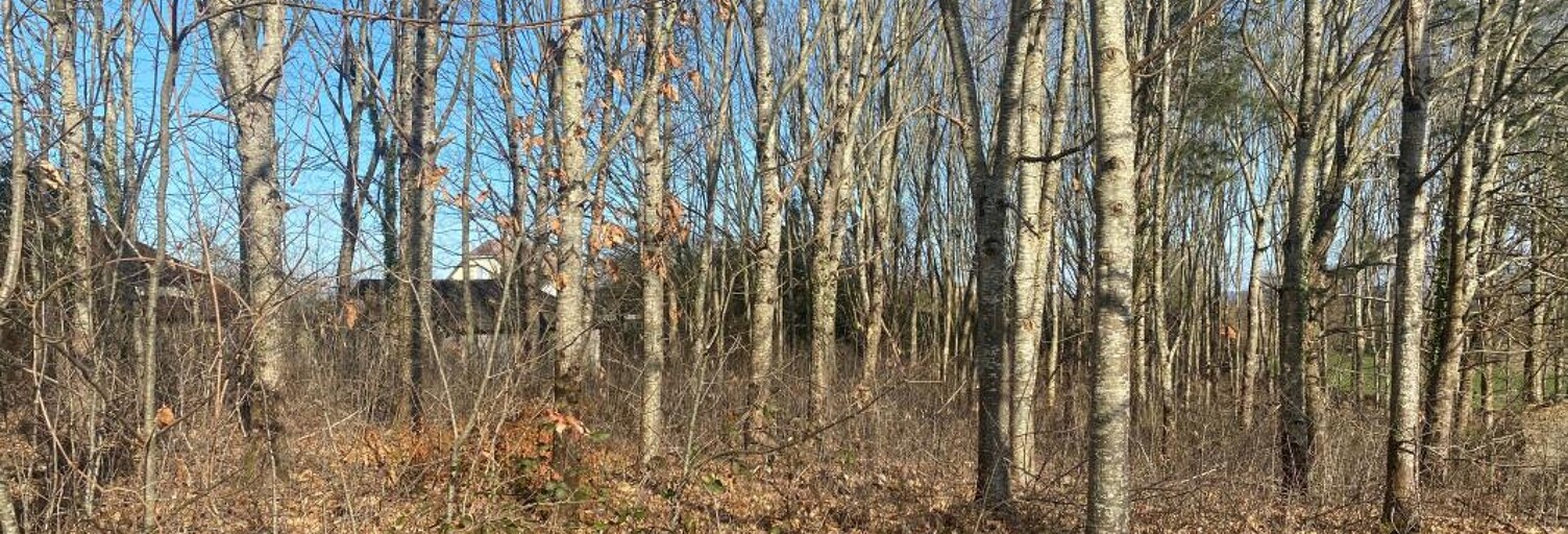 Terrain  2457 m² à vendre à Bonnut (64300)