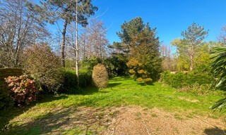 Photo N° 4