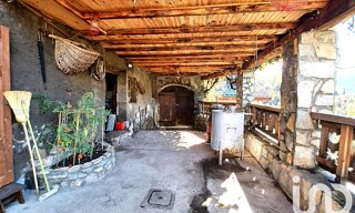 Photo N° 16