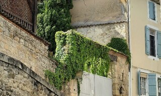 Photo N° 3