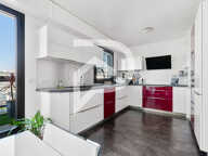 Duplex (Suresnes Hypercentre) - 239m² carrez - Terrasse 225 m² — photo 3