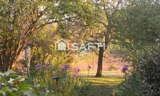 Photo N° 6