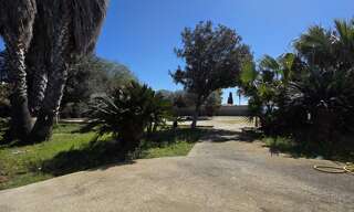 Photo N° 6