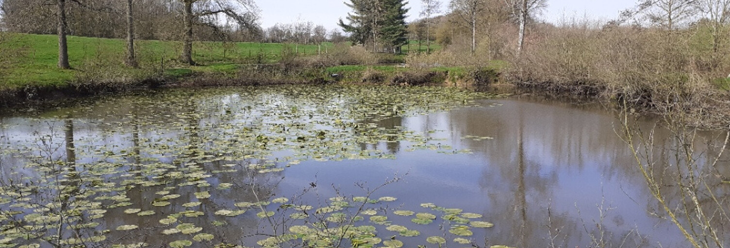 Commerce  14810 m² à vendre à Aubenton (02500)