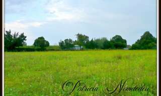 Terrain  1888 m² à vendre à Sévignacq (64160)