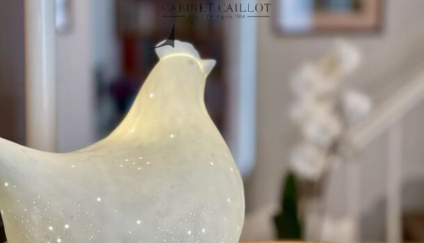 Villa / Maison 5 pièces  à vendre Saintes 17100