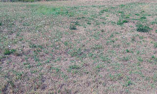 Terrain  2710 m² à vendre à Limons (63290)