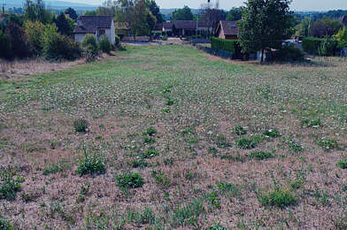 Terrain  50000 €