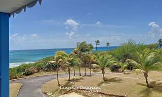 Appartement 1 Pièce 20 m² à vendre à Saint-François (97118)