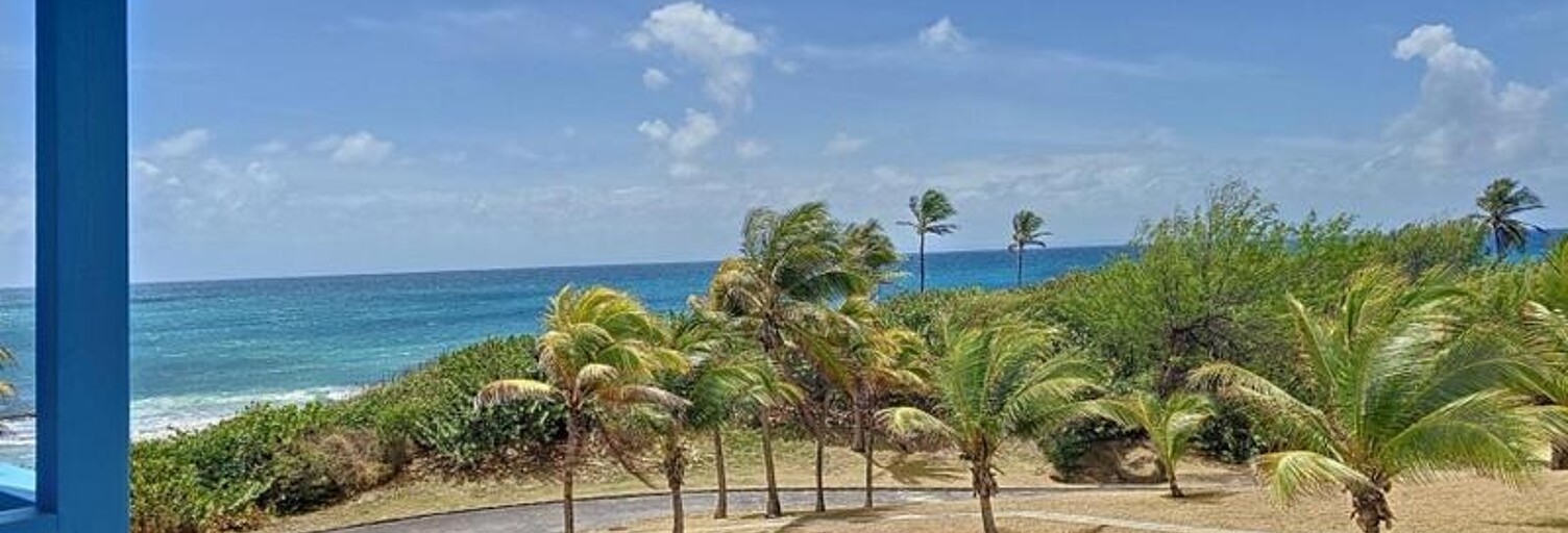 Appartement 1 Pièce 20 m² à vendre à Saint-François (97118)