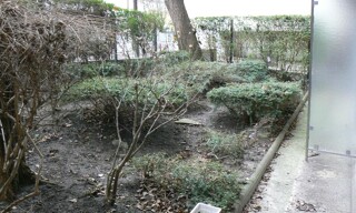 Photo N° 5