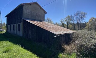 Photo N° 6
