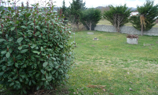 Photo N° 6