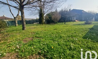 Photo N° 15