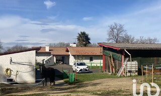 Photo N° 6