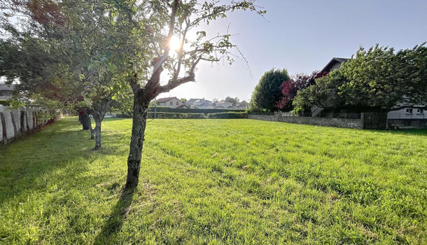 Terrain  à vendre Maubec 38300