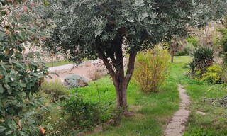 Photo N° 6
