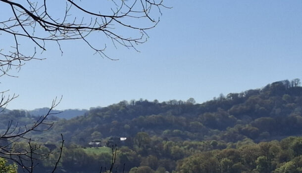 Villa / Maison 5 pièces  à vendre Mauléon-Licharre 64130