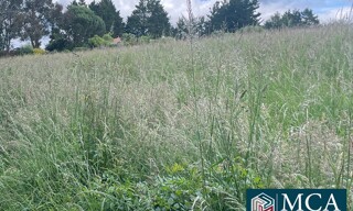 Terrain  600 m² à vendre à Bardos (64520)