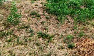 Terrain  850 m² à vendre à Montpellier (34090)