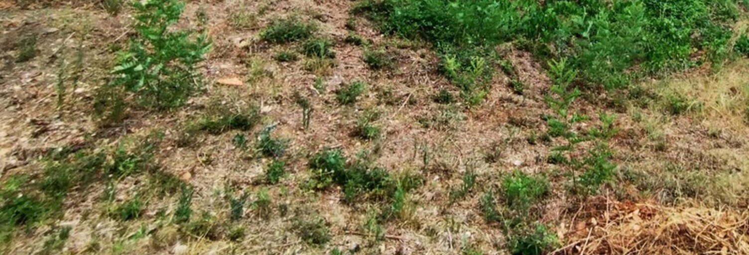 Terrain  850 m² à vendre à Montpellier (34090)