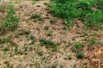 Terrain  426000 €