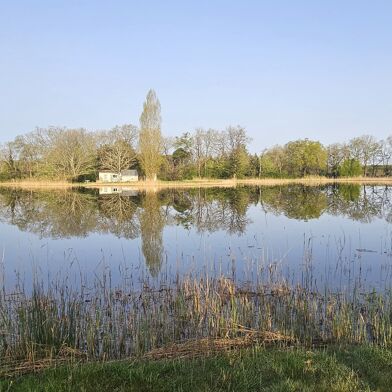 Terrain  79000 €