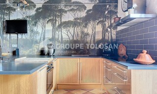 Photo N° 6