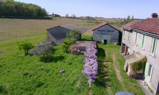 Photo N° 4
