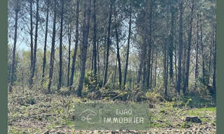 Terrain  55394 m² à vendre à Cudos (33430)