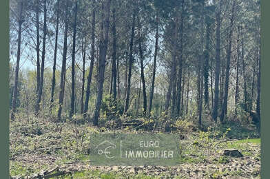 Terrain  39000 €