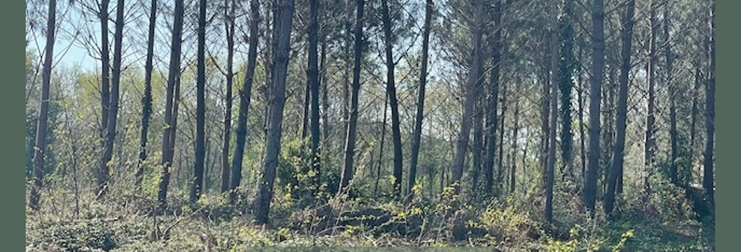 Terrain  55394 m² à vendre à Cudos (33430)