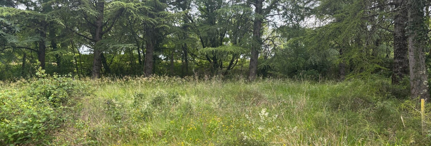 Terrain  1135 m² à vendre à Cahors (46000)
