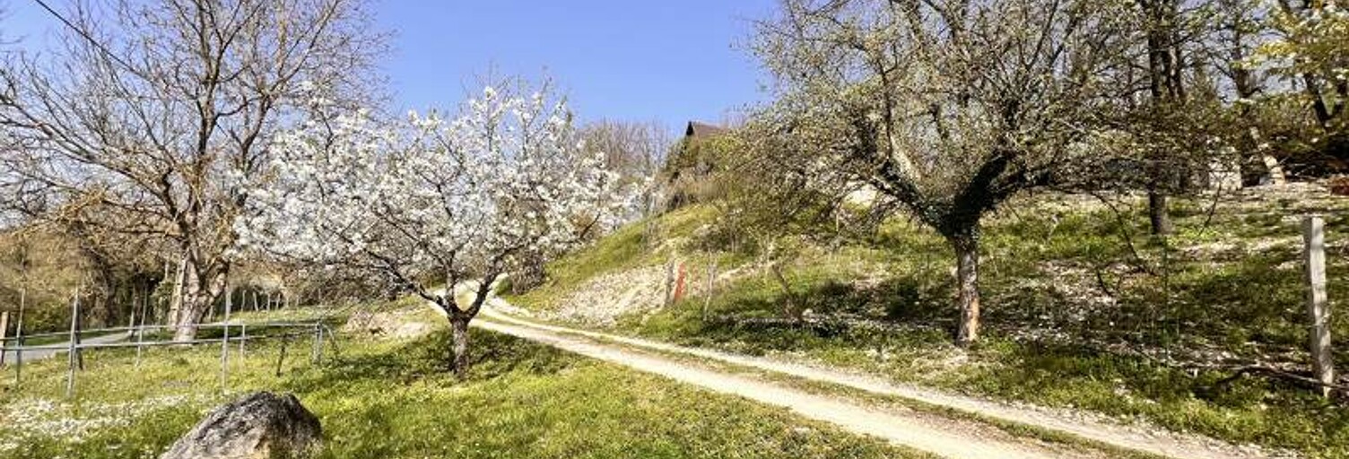 Maison 7 Pièces 172 m² à vendre à Châteauneuf-sur-Cher (18190)